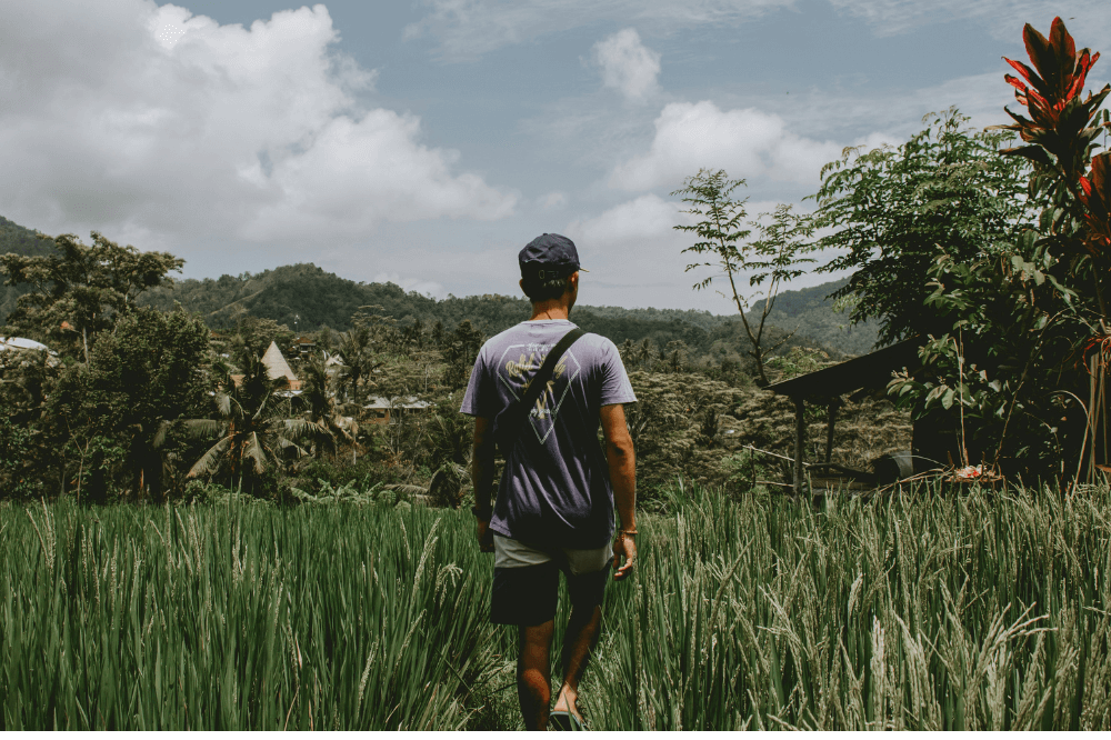 Mann skuer utover landskapet i en risåker på Bali.