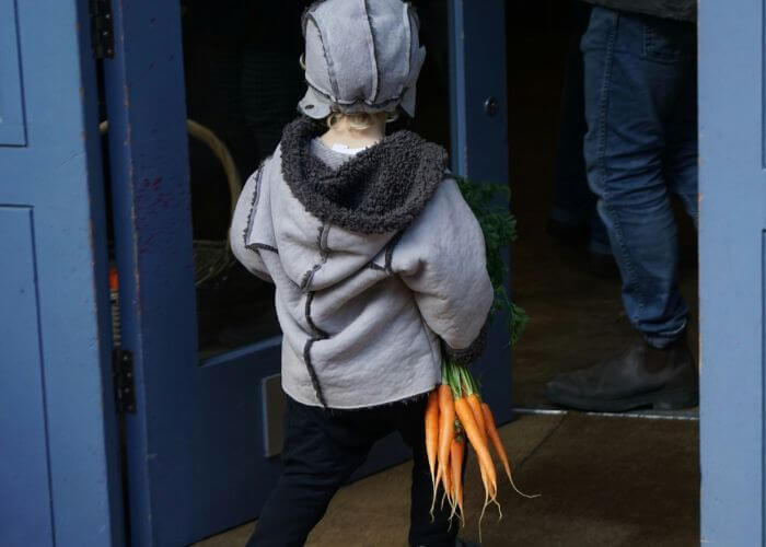 Liten gutt i yttertøy som holder et knippe gulerøtter. 