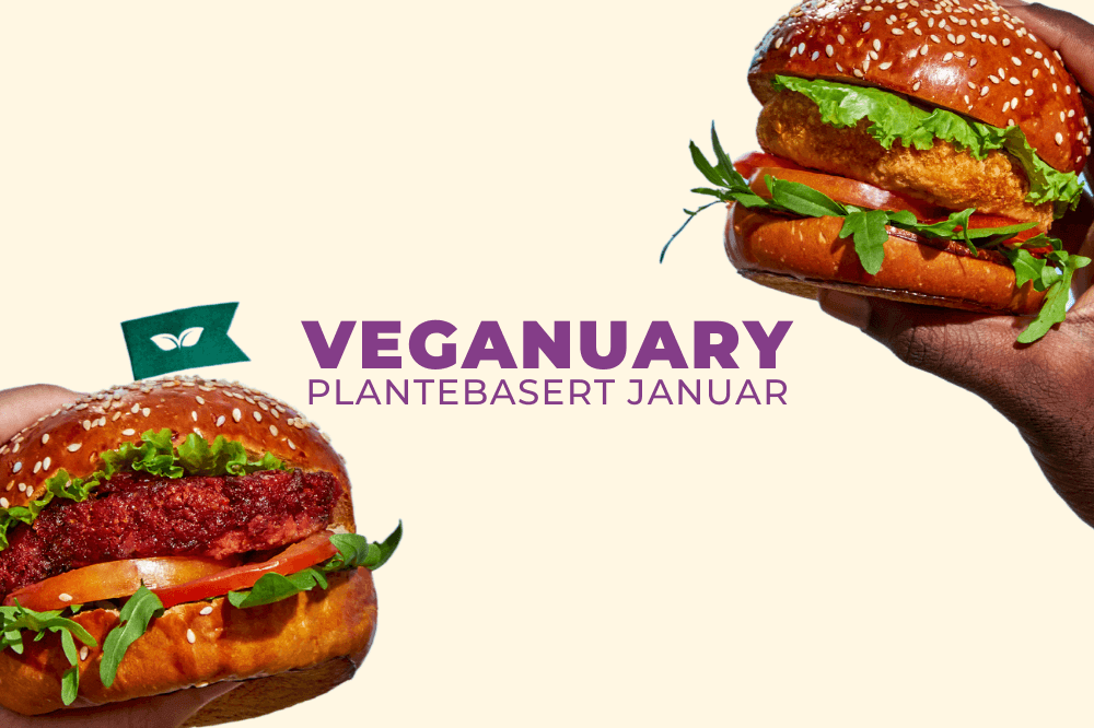  Veganuary – hva er det egentlig og hvordan blir man med? 