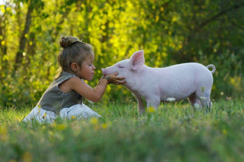  Velkommen til Veggisnytt - Norges nye nettmagasin for alt som er vegansk