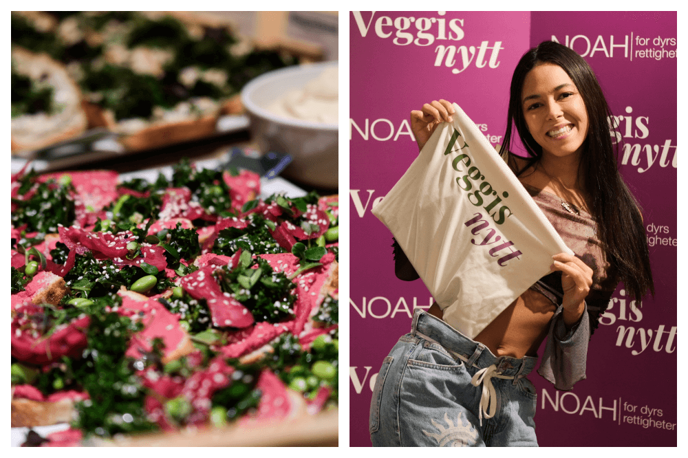  Veggisnytt feiret lansering med fest, folk og veganske fristelser