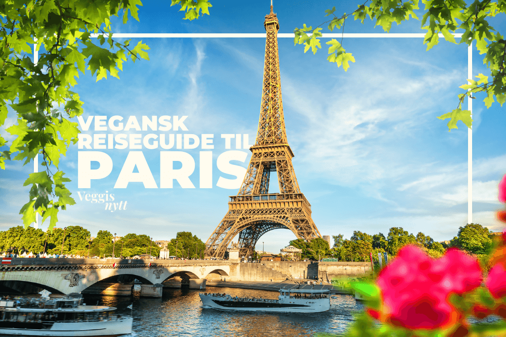 Plantebasert reiseguide: Her spiser du vegansk i Paris