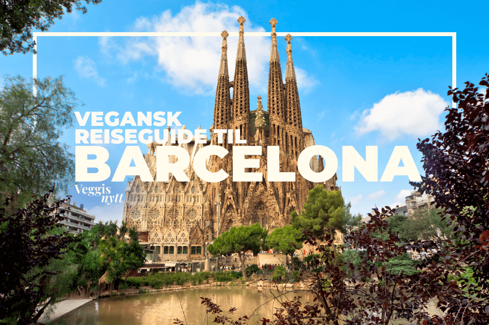 Plantebasert reiseguide: Her spiser du vegansk i Barcelona