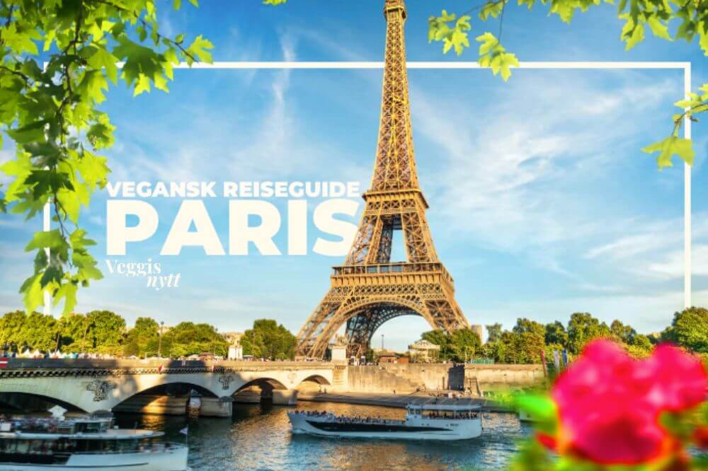 Plantebasert reiseguide: Her spiser du vegansk i Paris