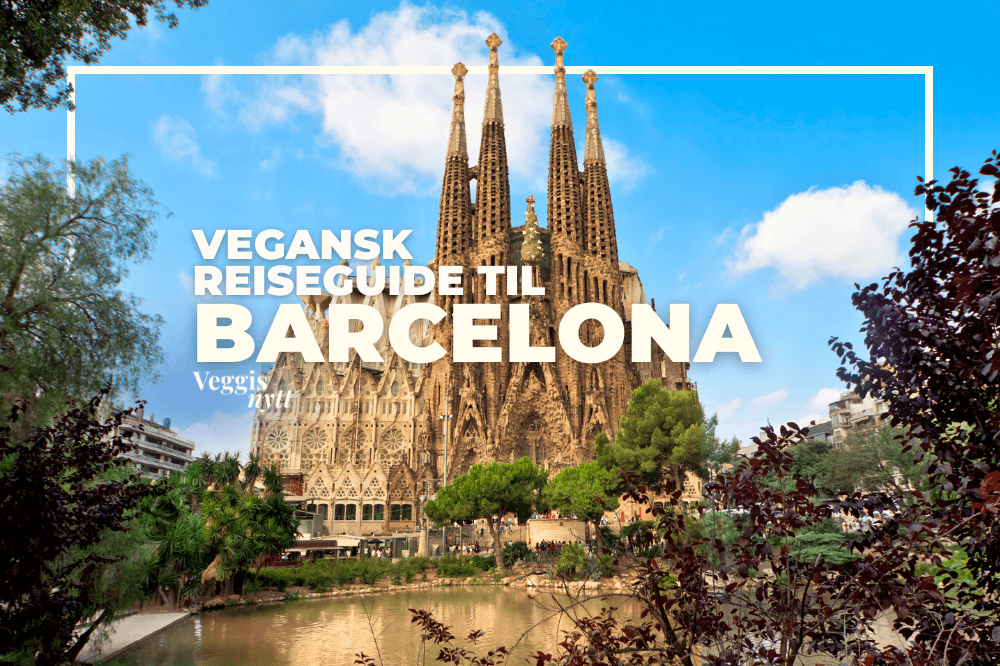 Plantebasert reiseguide: Her spiser du vegansk i Barcelona
