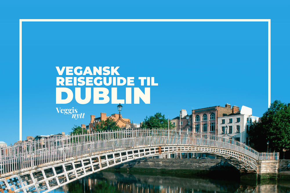 Plantebasert reiseguide: Her spiser du vegansk i Dublin