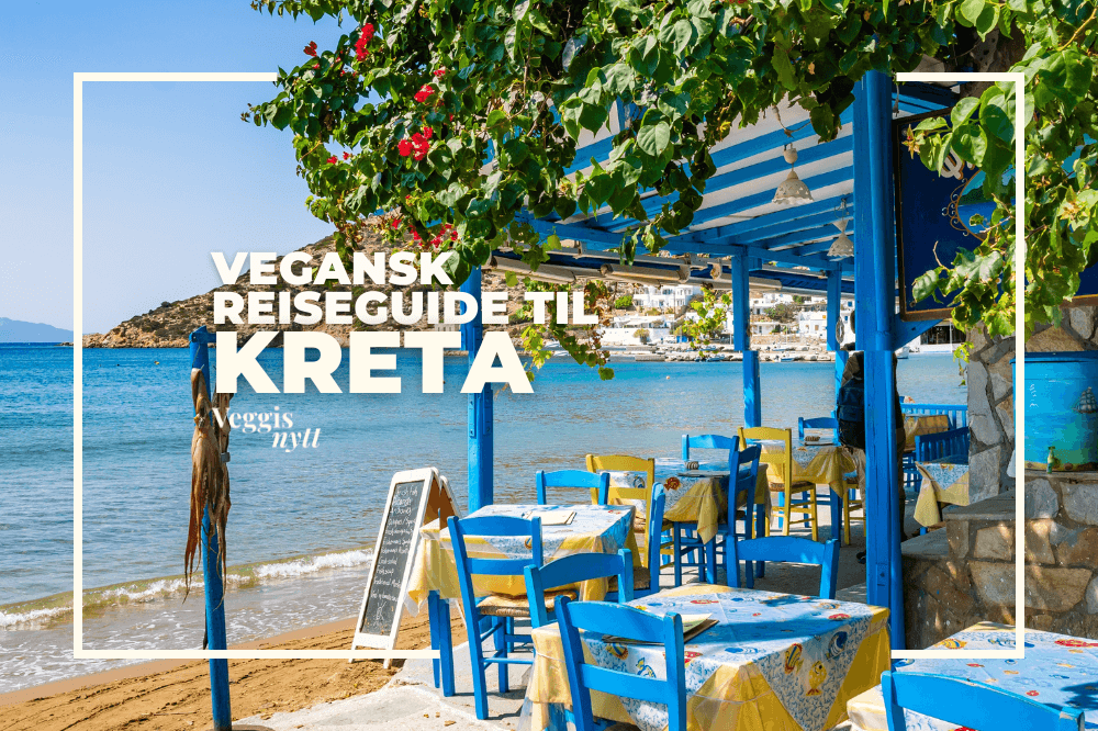 Plantebasert reiseguide: Her spiser du vegansk på Kreta
