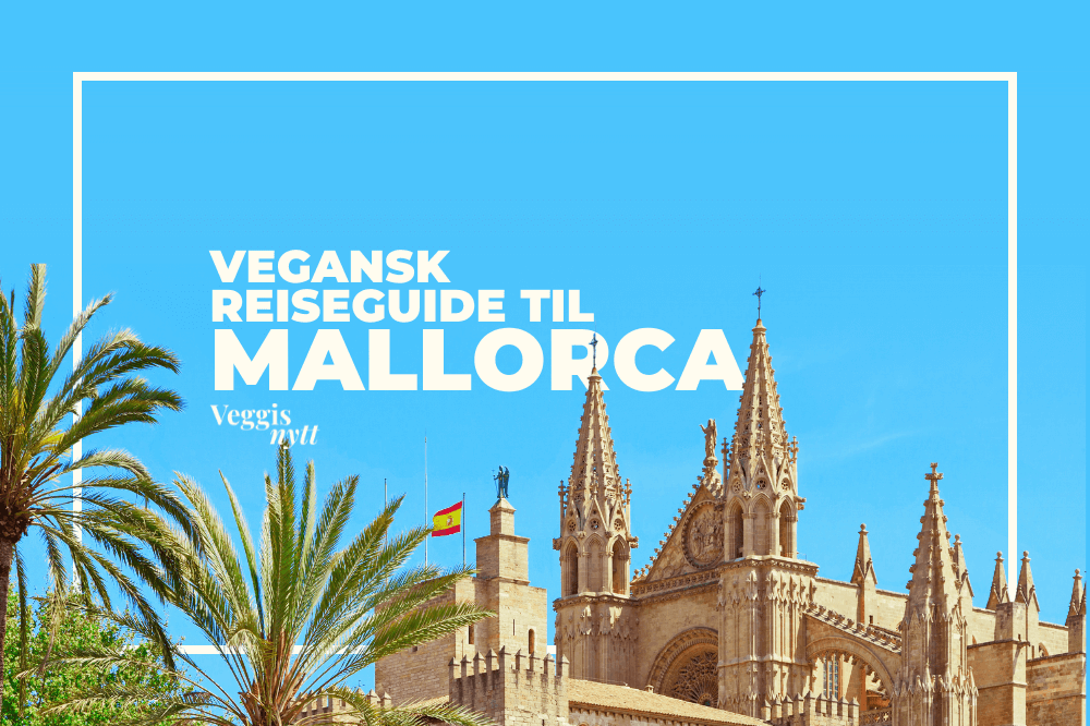 Plantebasert reiseguide: Her spiser du vegansk på Mallorca