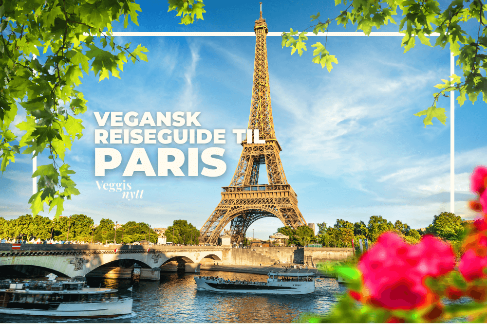 Plantebasert reiseguide: Her spiser du vegansk i Paris