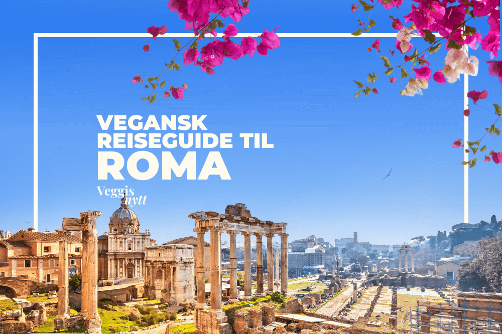 Plantebasert reiseguide: Her spiser du vegansk i Roma