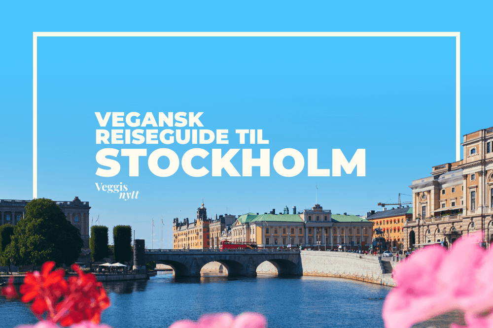 Plantebasert reiseguide: Her spiser du vegansk i Stockholm