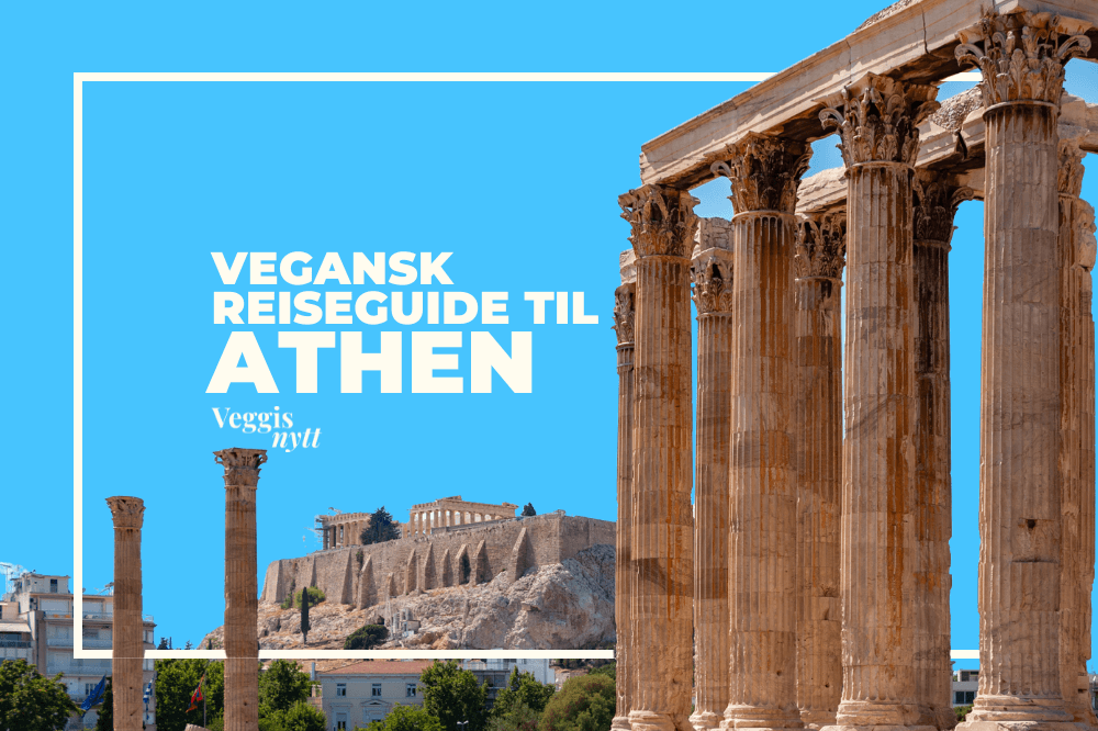 Plantebasert reiseguide: Her spiser du vegansk i Athen