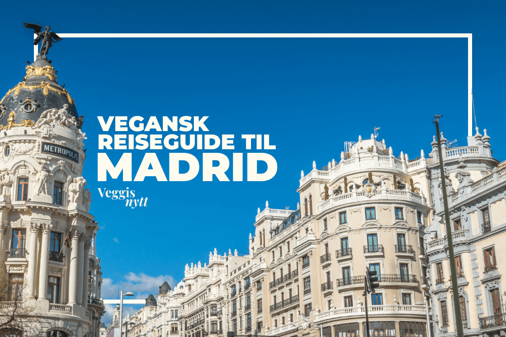 Plantebasert reiseguide: Her spiser du vegansk i Madrid