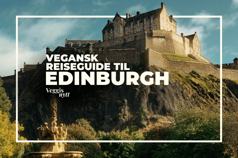 Plantebasert reiseguide: Her spiser du vegansk i Edinburgh