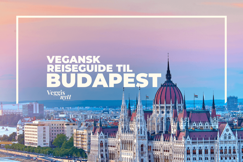 Plantebasert reiseguide: Her spiser du vegansk i Budapest