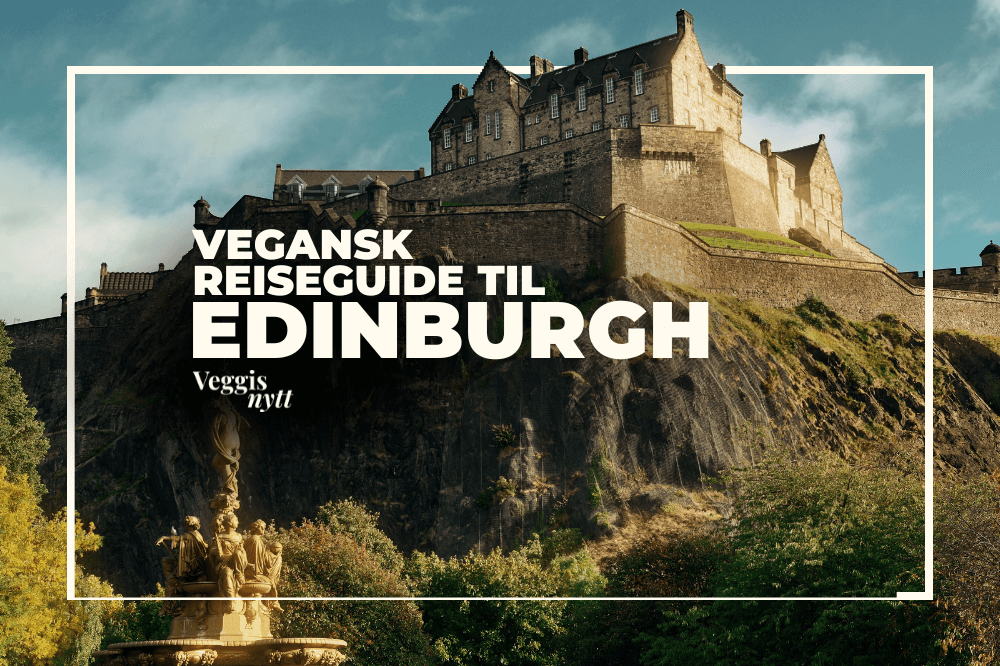 Plantebasert reiseguide: Her spiser du vegansk i Edinburgh