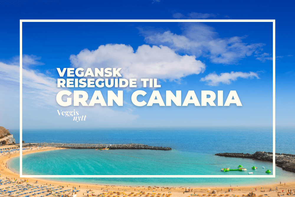 Strand og molo på Gran Canaria med tekst over
