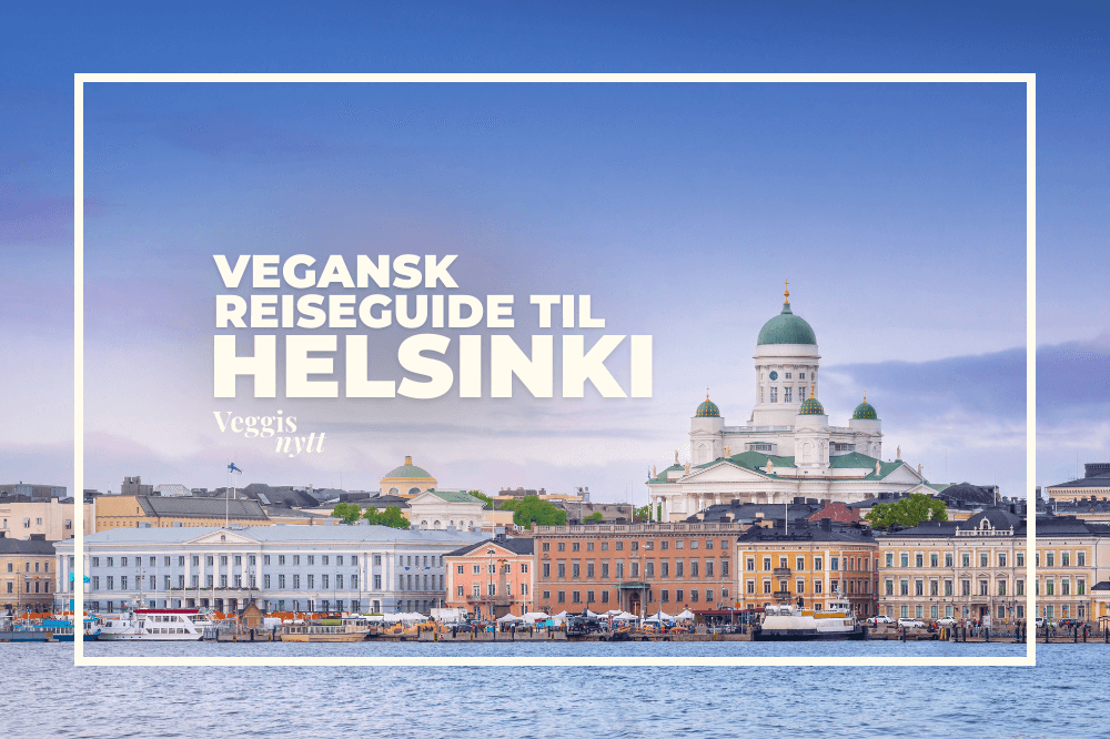 Bybildet av havnen i Helsinki.
