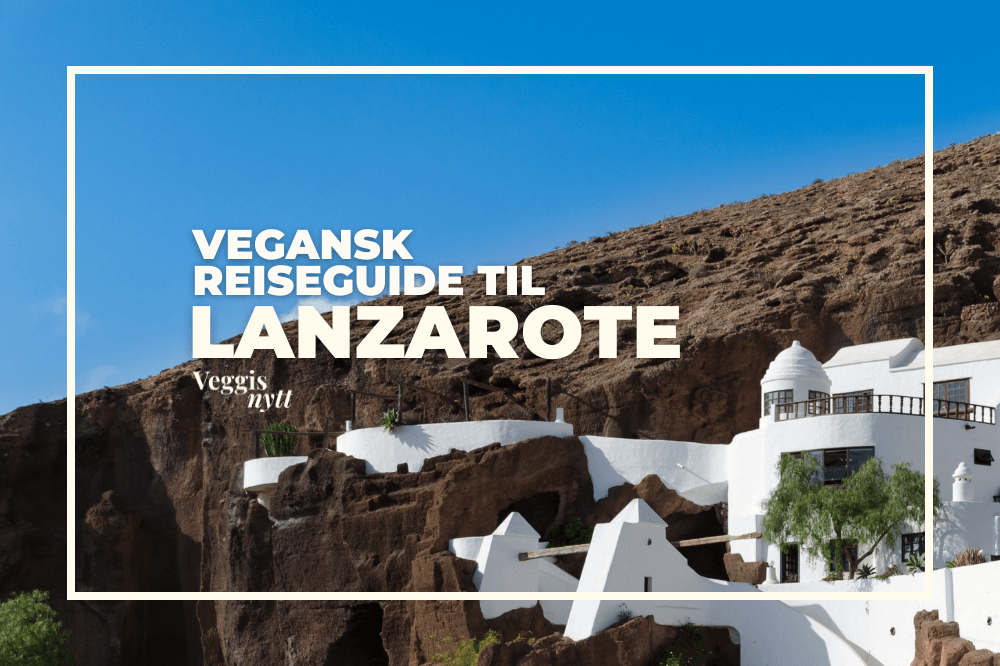 Bilde av landsby på Lanzarote med tekst over bildet.