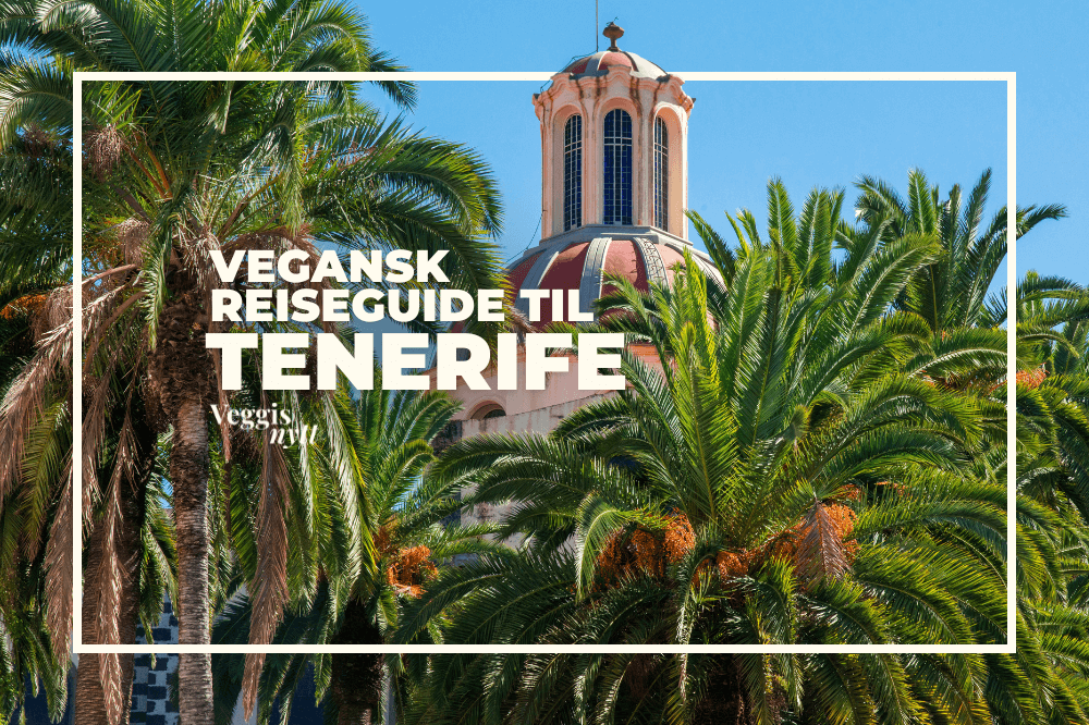 Bilde av kirke og vegetasjon på Tenerife. Tekst over bilde.