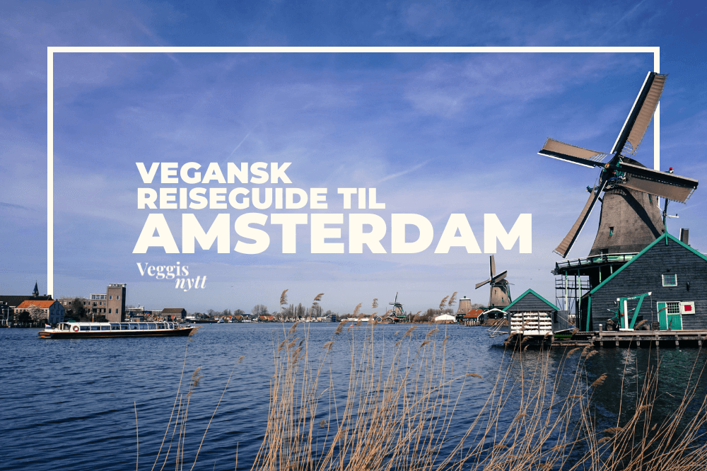 Bilde av Amsterdam med tekst over