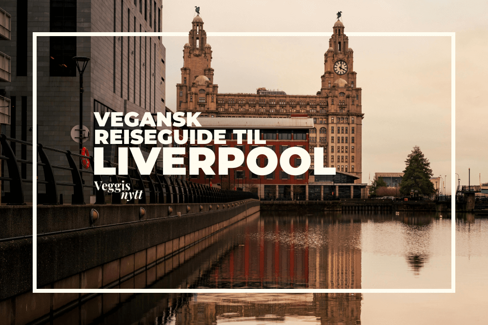 Bilde fra Liverpool i Storbritannia med skrift over bildet.
