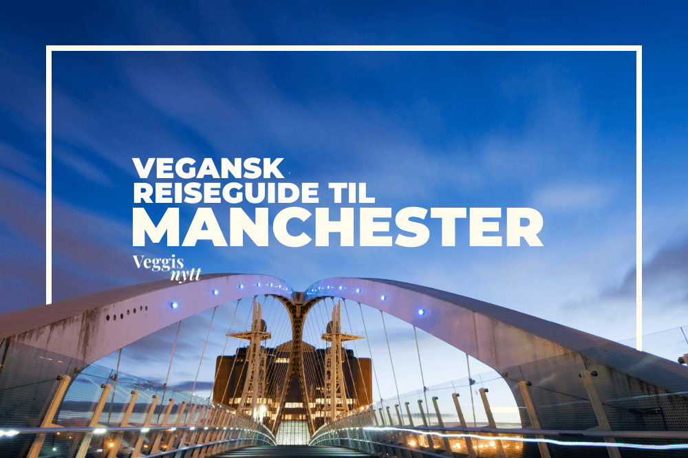 Bybilde fra Manchester i England, med tekst over.