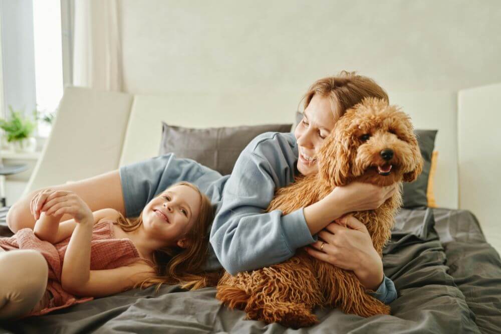 To barn som koser med en liten Labradoodle-hund-