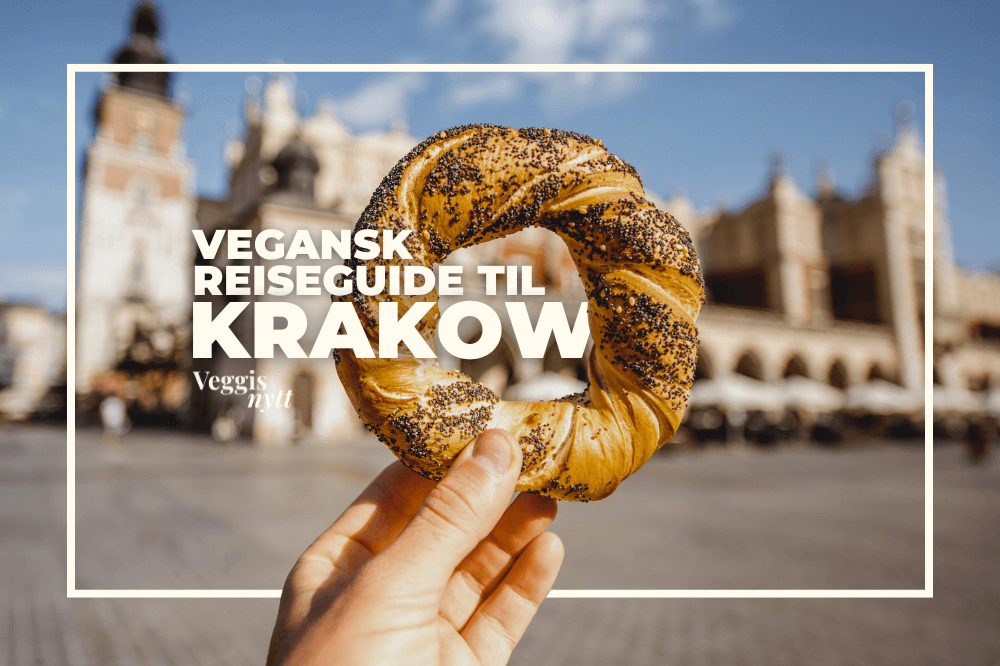 Bilde av en hånd som holder en kringle med bygninger i Krakow i bakgrunnen.